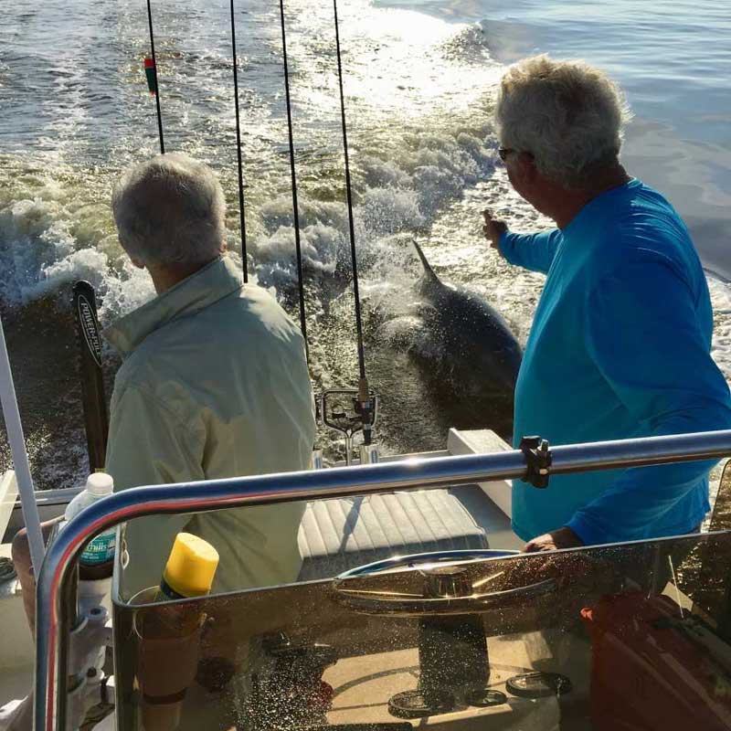Mangrove Masters Fishing Charters