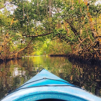 Tarpon Bay Explorers