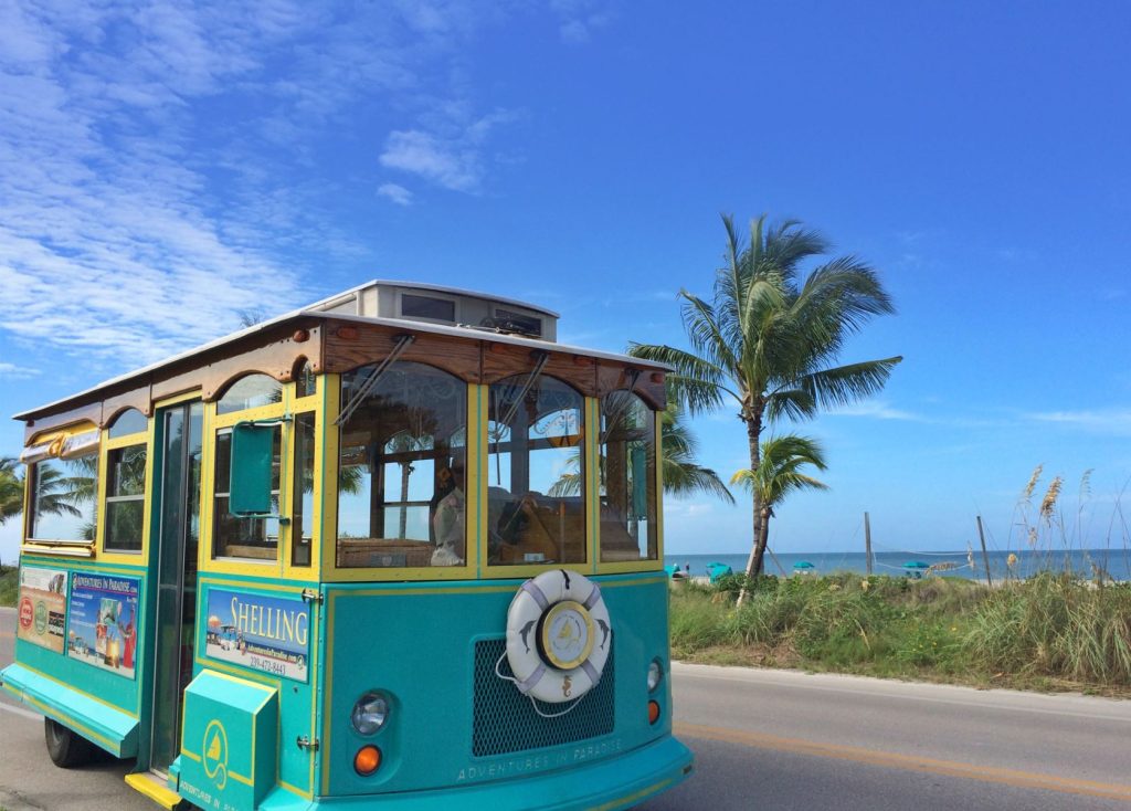 Adventures in Paradise