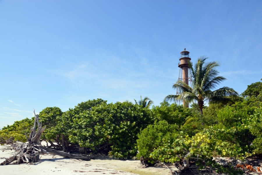 Lighthouse-Beach-and-Fishing-Pier Lighthouse Beach & Fishing Pier