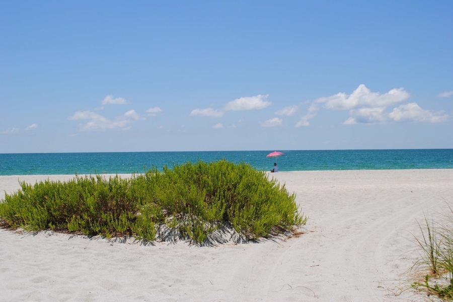 Gulfside-City-Beach-Park-on-Algiers-Beach Gulfside City Beach Park on Algiers Beach