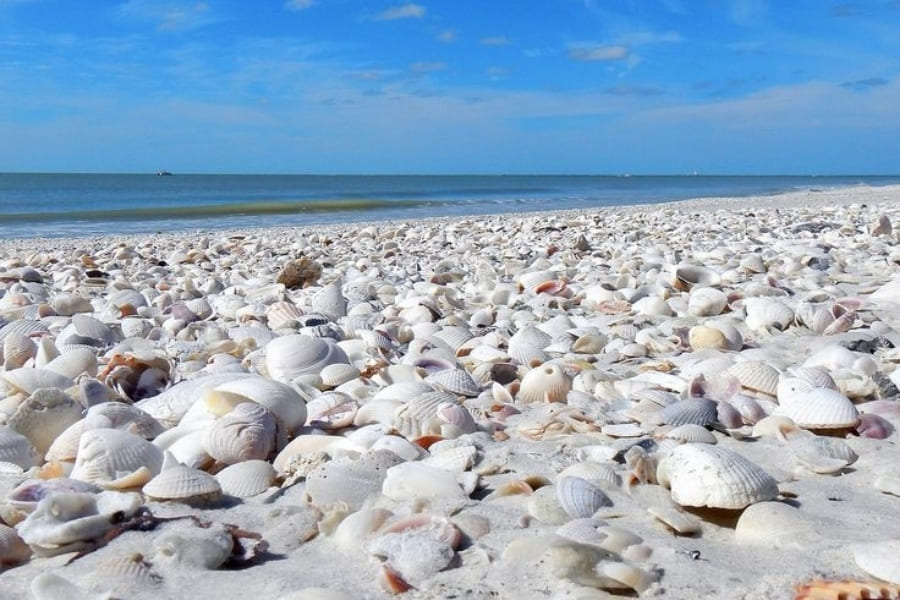 Lovers-Key-State-Park Lovers Key State Park