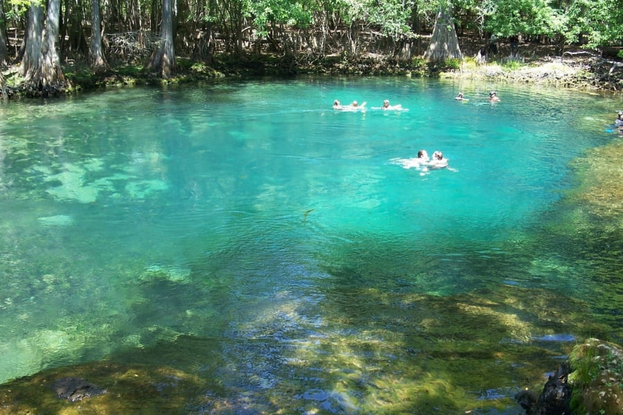 Manatee-Park-Lee-County Manatee Park