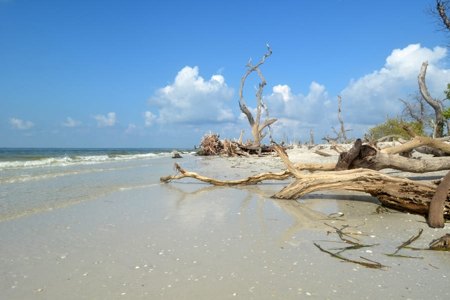 Cayo-Costa-State-Park Cayo Costa State Park