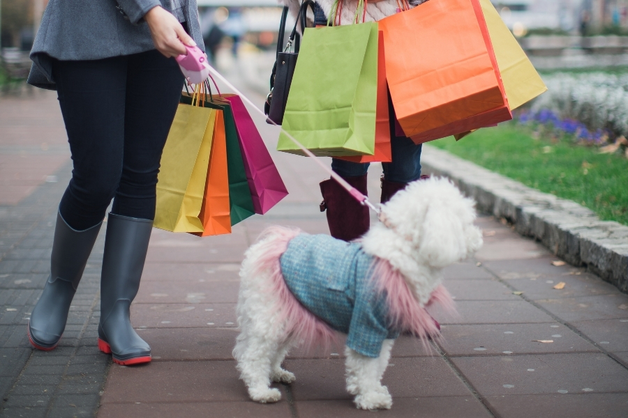 Pet friendly shopping Olde Sanibel Shoppes
