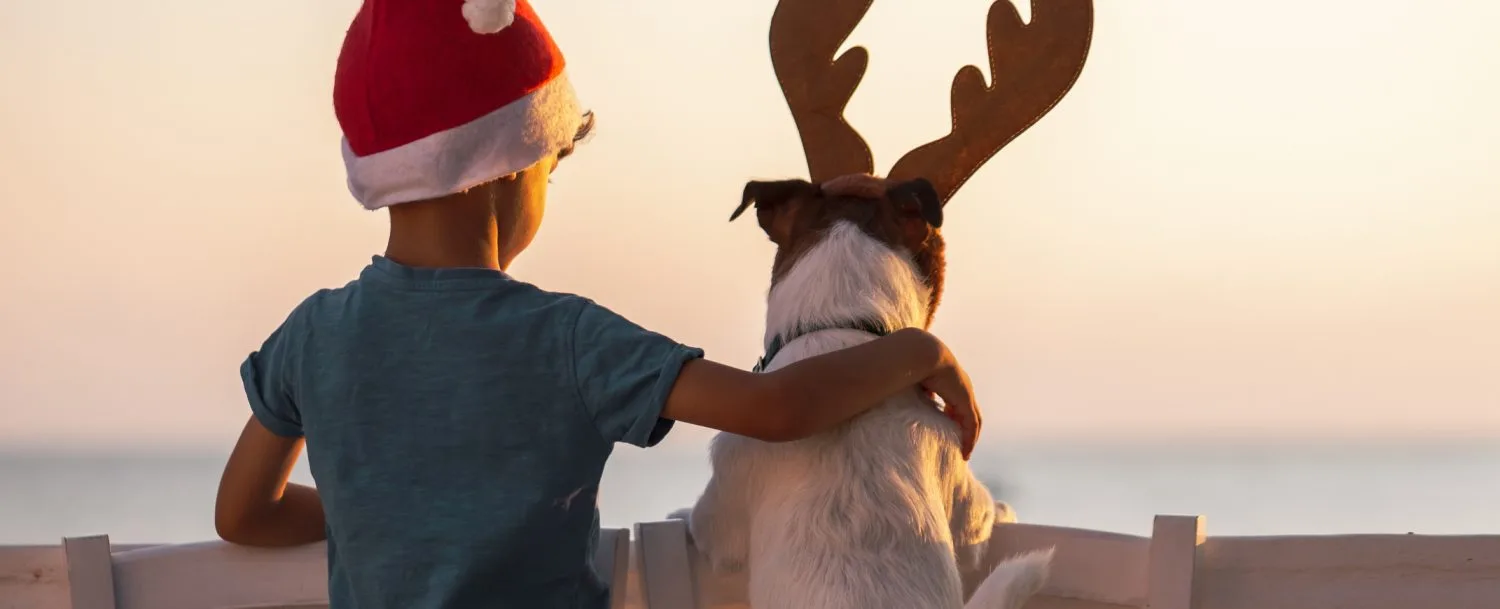 Christmas on Sanibel Island | Dream Vacation Rentals
