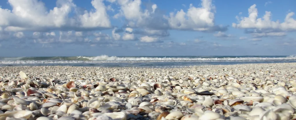 Minneapolis to Sanibel and Captiva