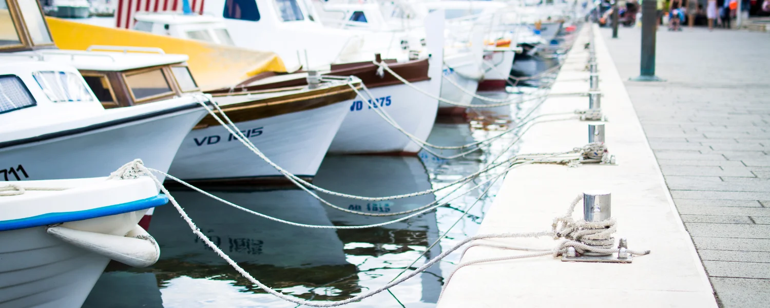 Your Guide to Pine Island Boat Tours