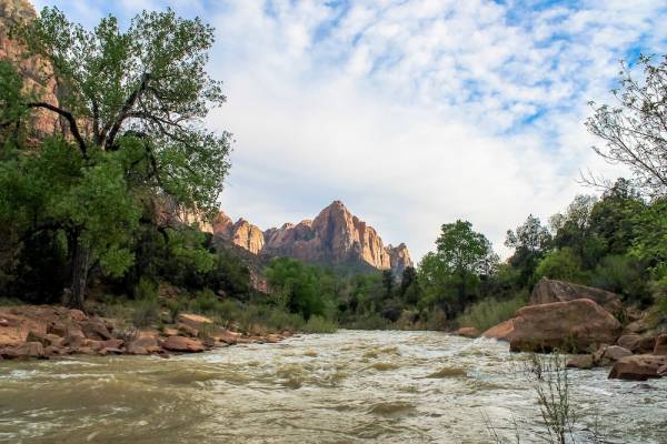 Zion National Park