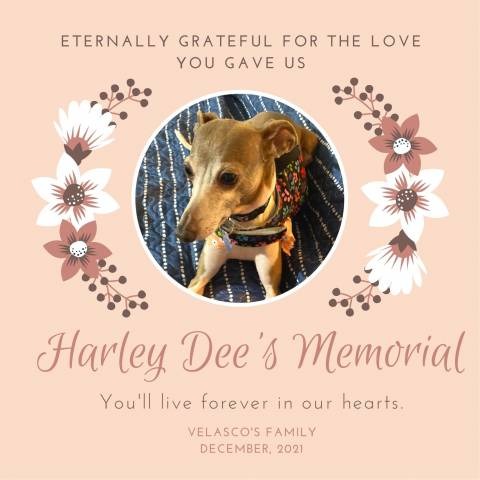 Harley Dee's Memorial