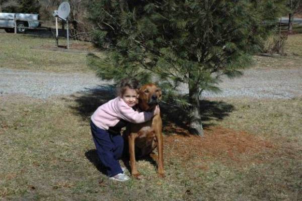 Blue Ridge Pet Friendly Cabins