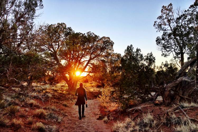 Hiking in Arizona: Explore the Best Trails in the State