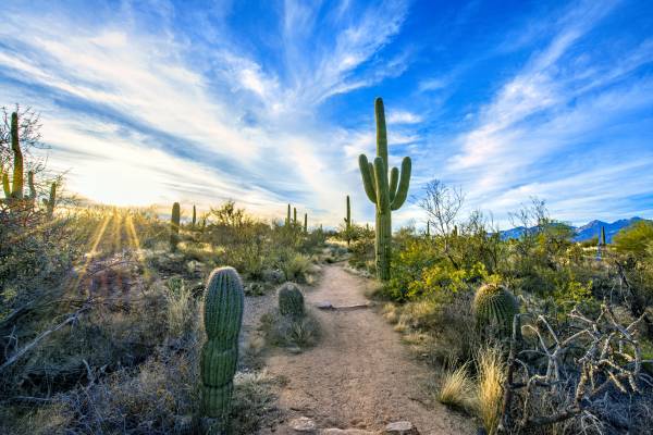 Arizona