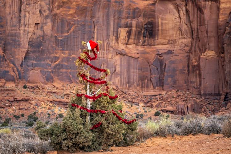 Festive Arizona: Celebrating the Holidays in the Desert