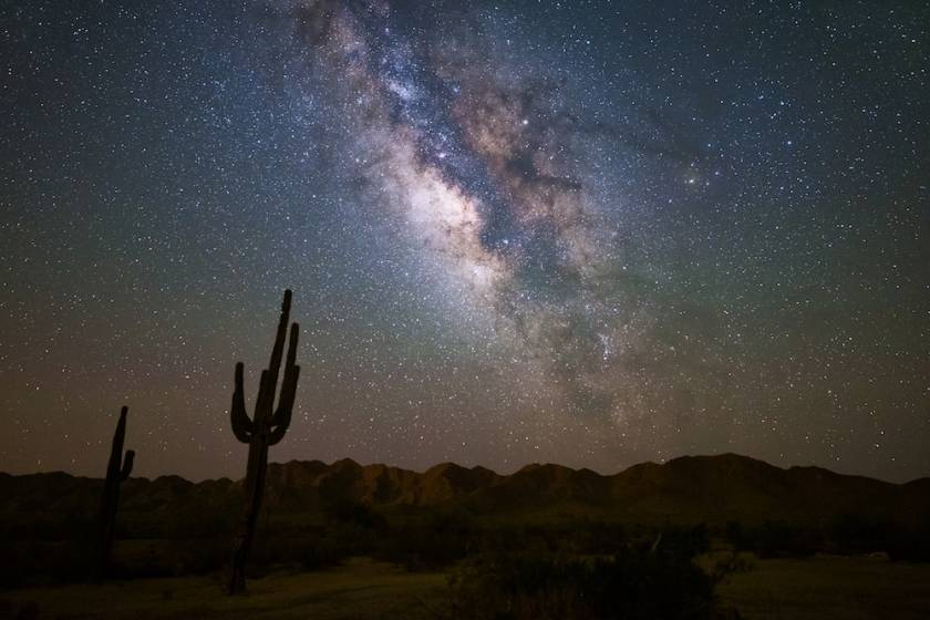 stargazing phoenix