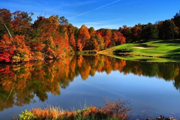 Druid Hills #4
