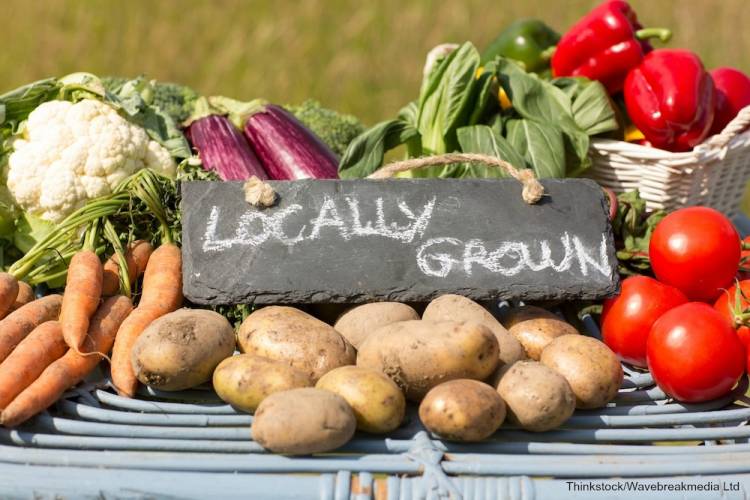 Folly Beach Farmers Market