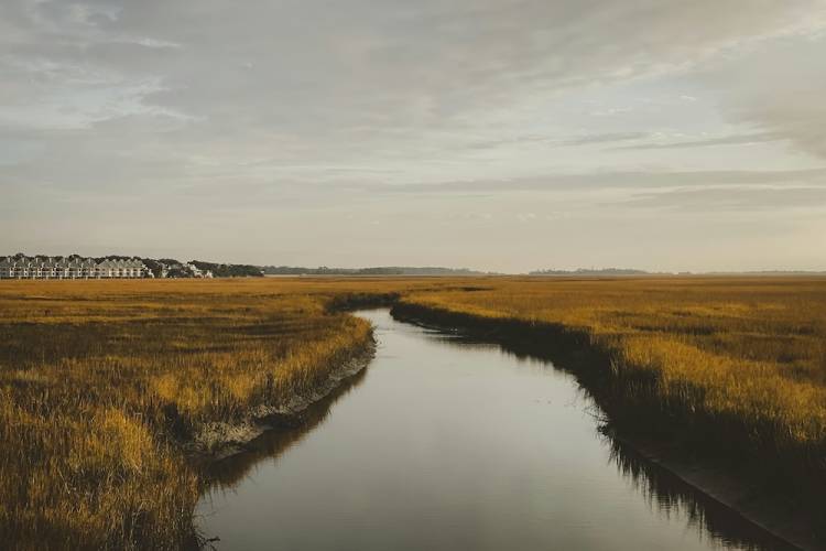 Folly River Park