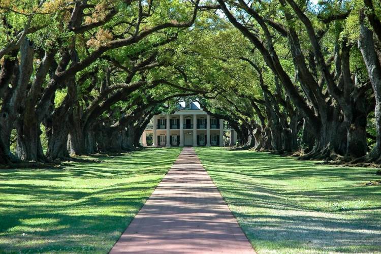 McLeod Plantation Historic Site