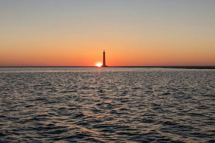 Folly Beach vs. Isle of Palms: Which Should You Visit?