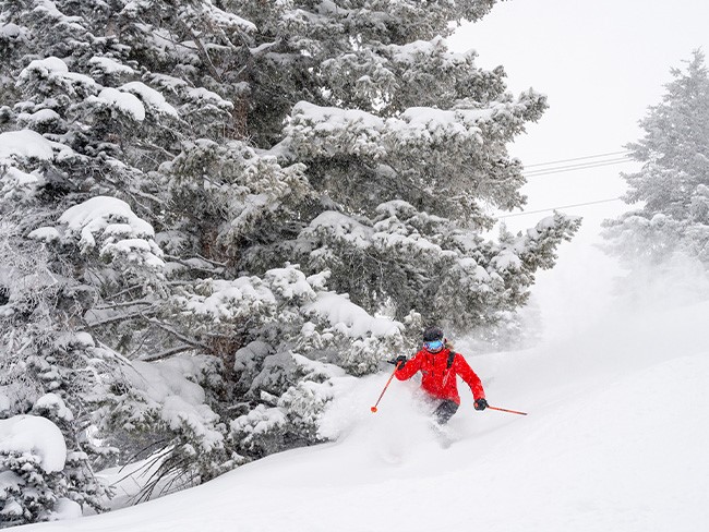 Wonders In Aspen Snowmass