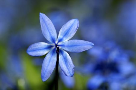 Beaver Creek Extraordinaire Presents: BLOOM