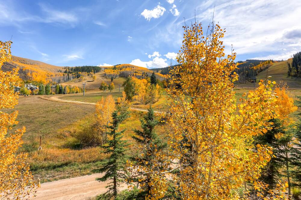 Fall In Love With Colorado