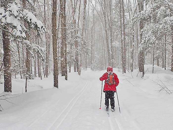 Breckenridge Cross Country Skiing & Snowshoeing