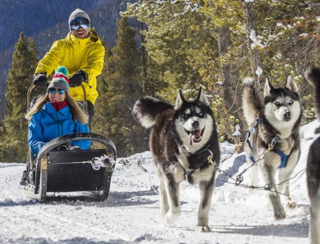 Breckenridge Dog Sledding