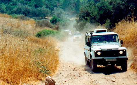 Beaver Creek Jeep Tours