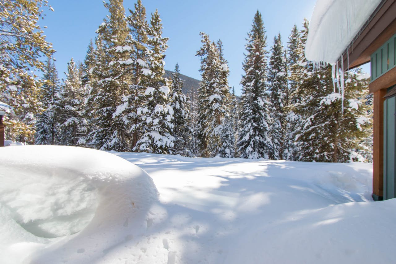 Vail Mountain Trail Maps (Winter)
