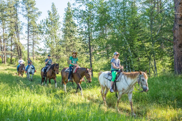 Keystone Stables