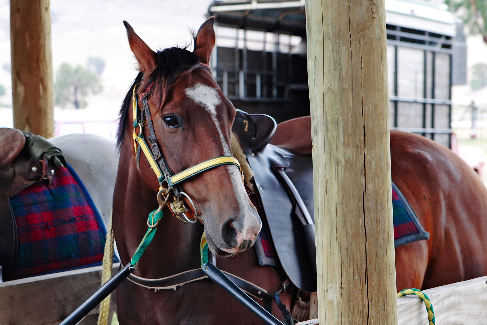 Keystone Stables