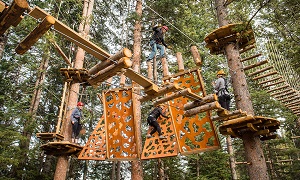 Snowmass Lost Forest