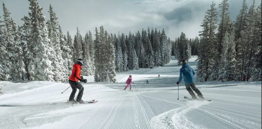 The Winter Vacation That Almost Wasn`t