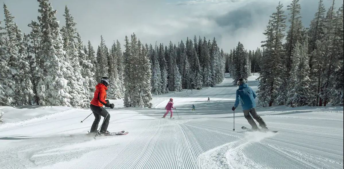 The Winter Vacation That Almost Wasn’t