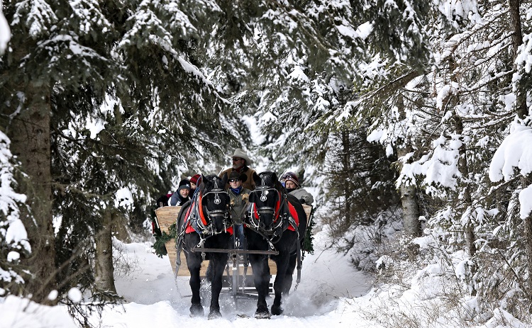 Vail Sleigh Rides & Dinner