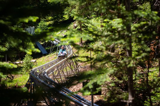 Snowmass Lost Forest Alpine Roller Coaster