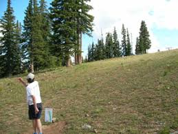 Snowmass Lost Forest Disc Golf