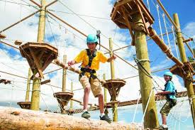 Vail EPIC Discovery Pine Cone Kids Adventure Course