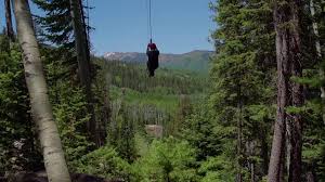 Snowmass Lost Forest Canopy Zipline Tour