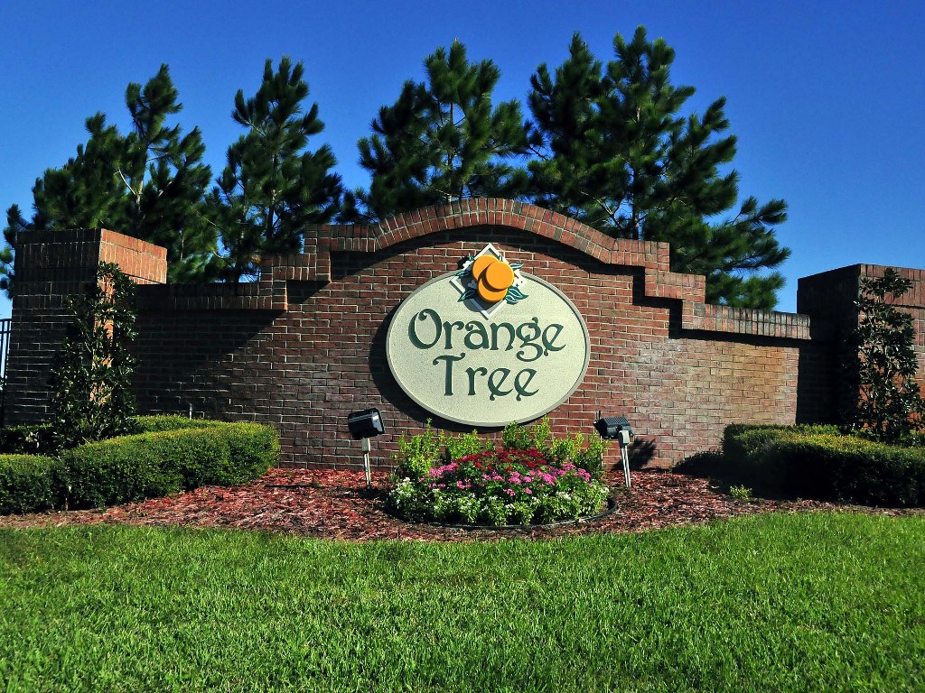 Orange Tree