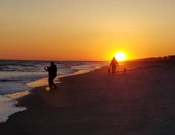 Harvesting Memories: Fall Festivities at Holden Beach
