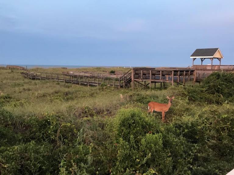 Holden Beach Winter