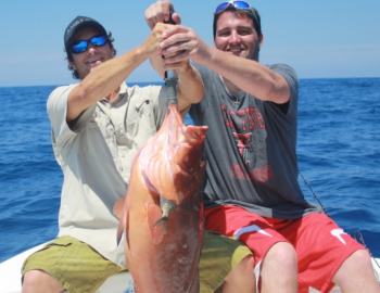 Ollie Raja Charters