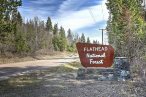 Flathead National Forest