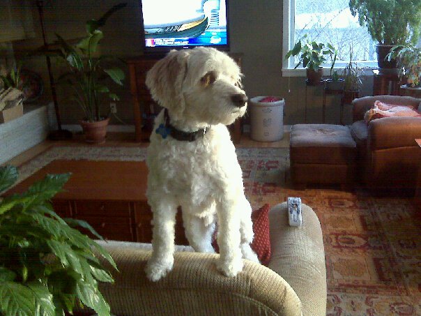 Test Blog 2