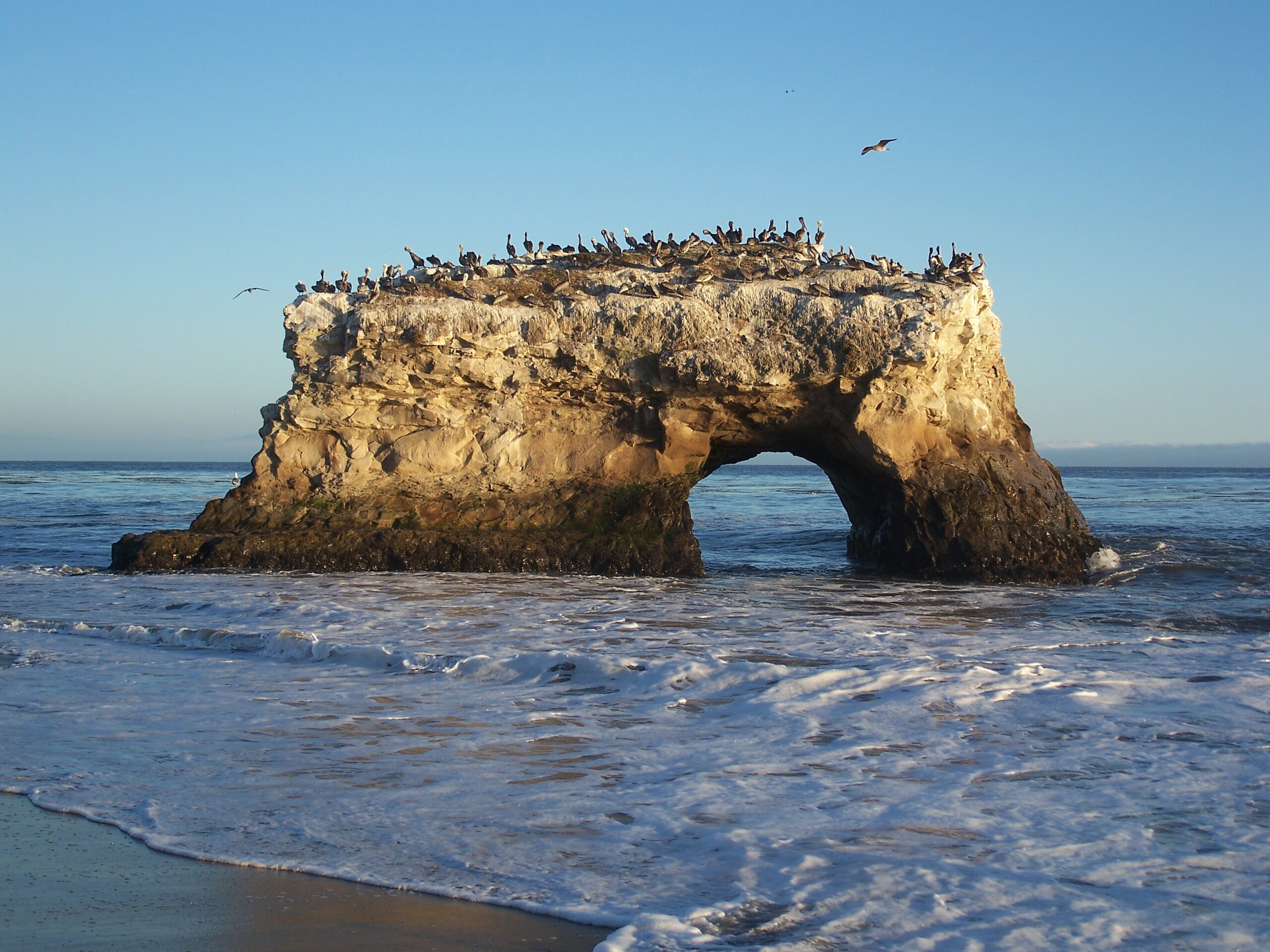 Exploring the Natural Wonders of Santa Cruz County’s Beachfront Bliss