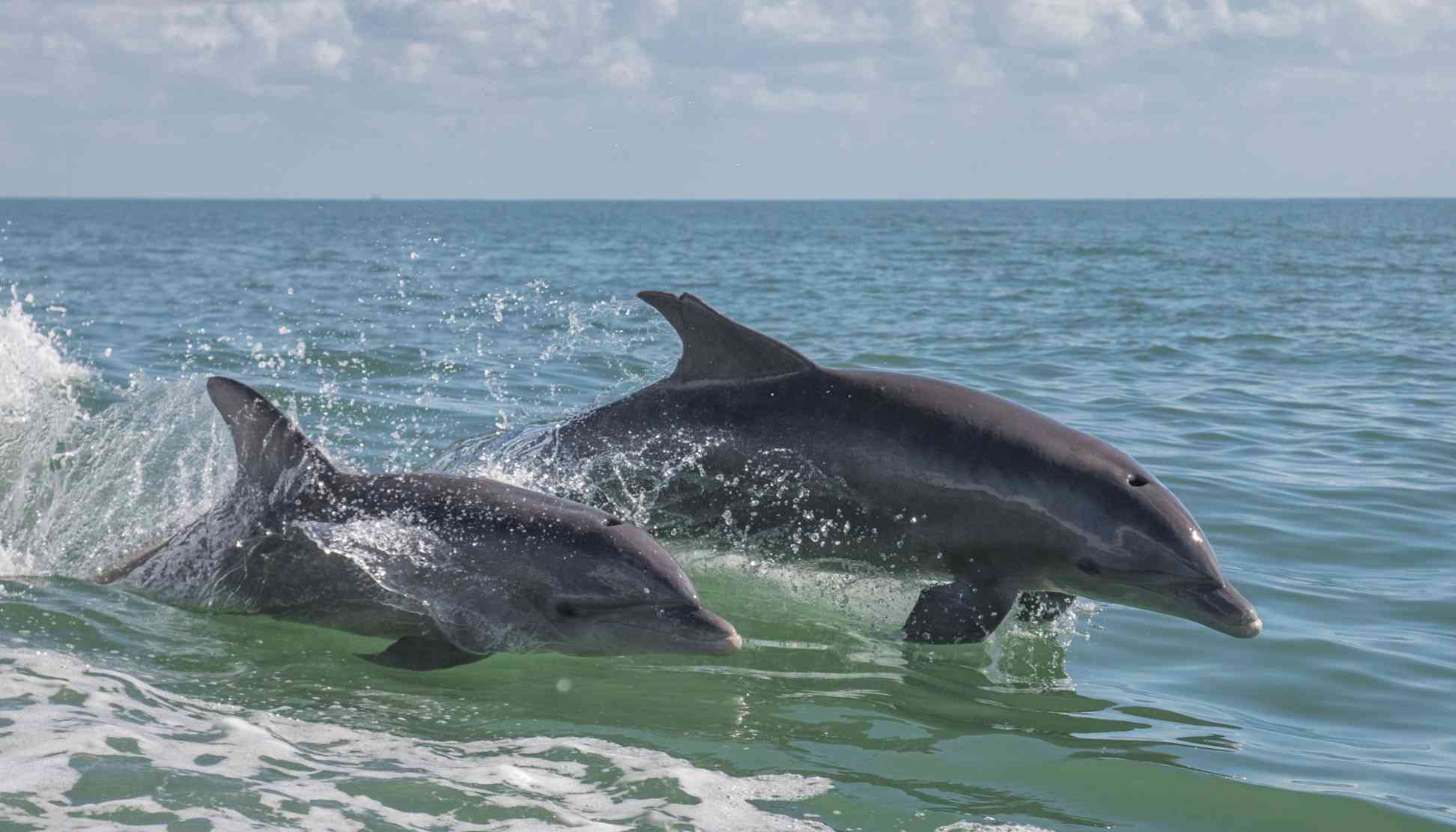 7 Ways to Explore the Beach