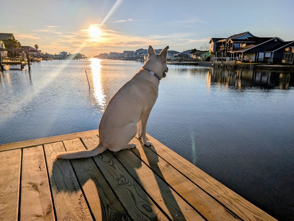 Photo taken at copano bay by homeowner